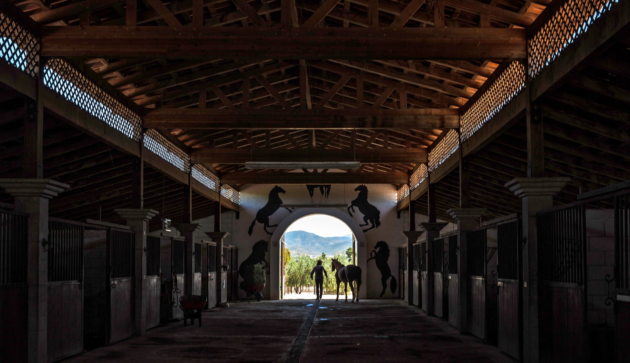 In the stables at Adobe Guadalupe, an elegant inn where the owners make wine and raise Azteca Sporthorses, which guests may ride. Credit Oriana Koren for The New York Times