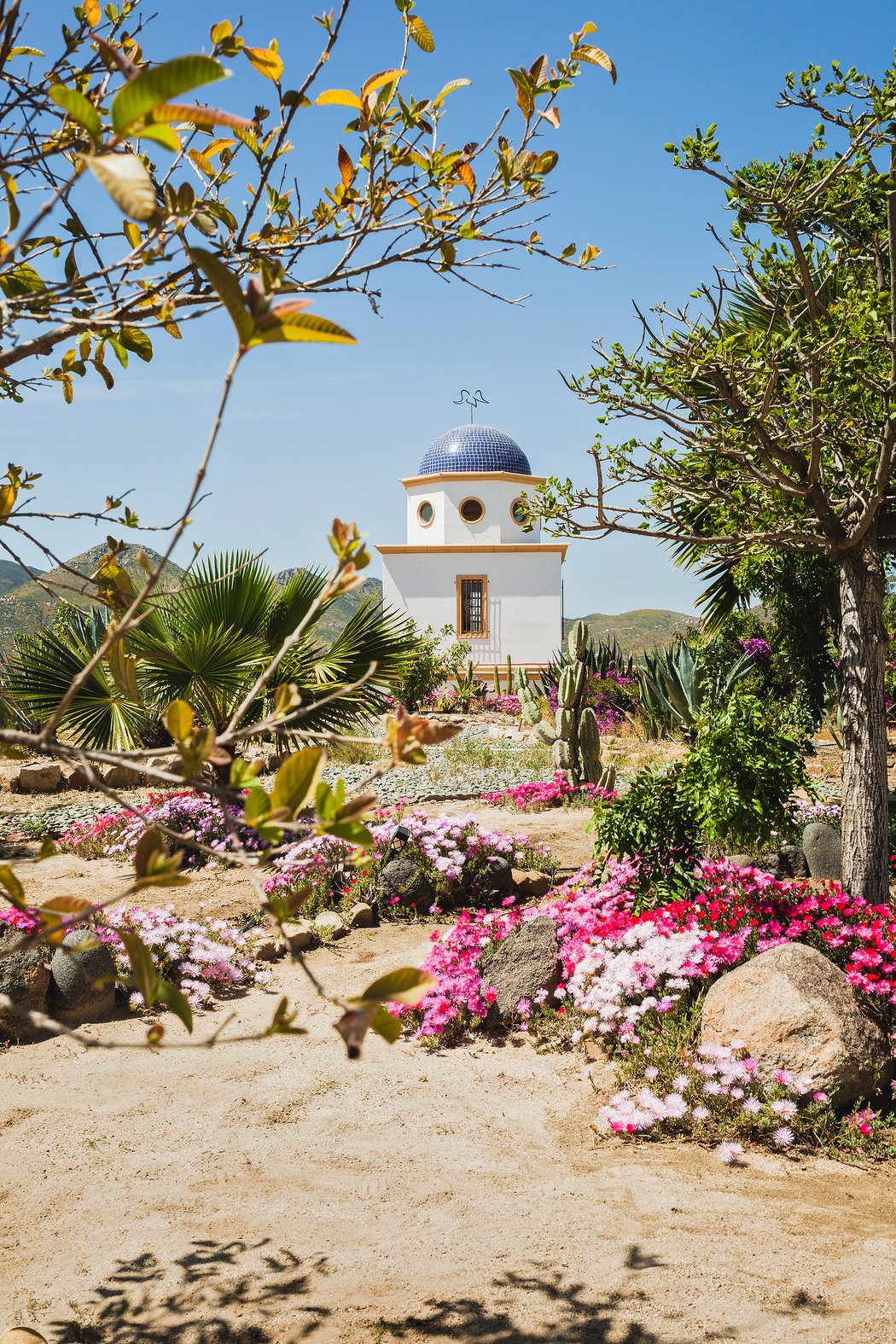 A view of the garden at Adobe Guadalupe, which bills itself as a refuge where visitors can slow their pace. Credit Oriana Koren for The New York Times