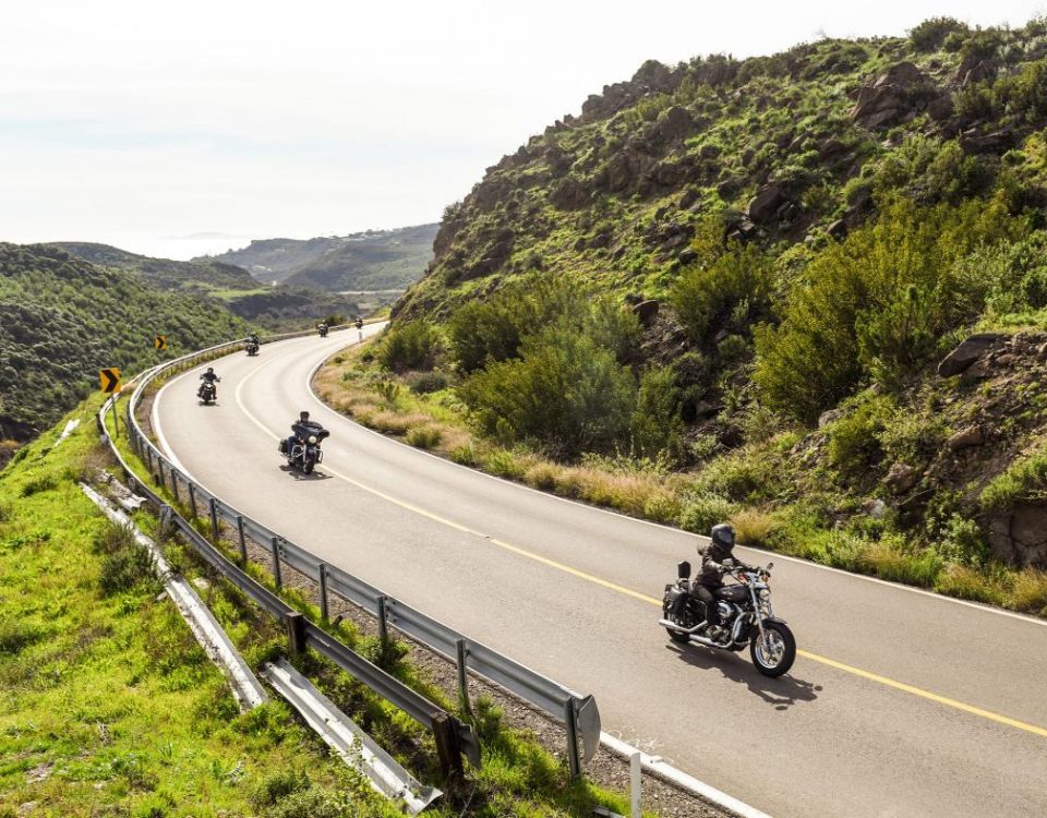 Whether you are whale watching on the coast or winding down the roads of Valle de Guadalupe's vineyards, every meal will be worth the drive. PHOTOGRAPH BY TODD WILLIAMS