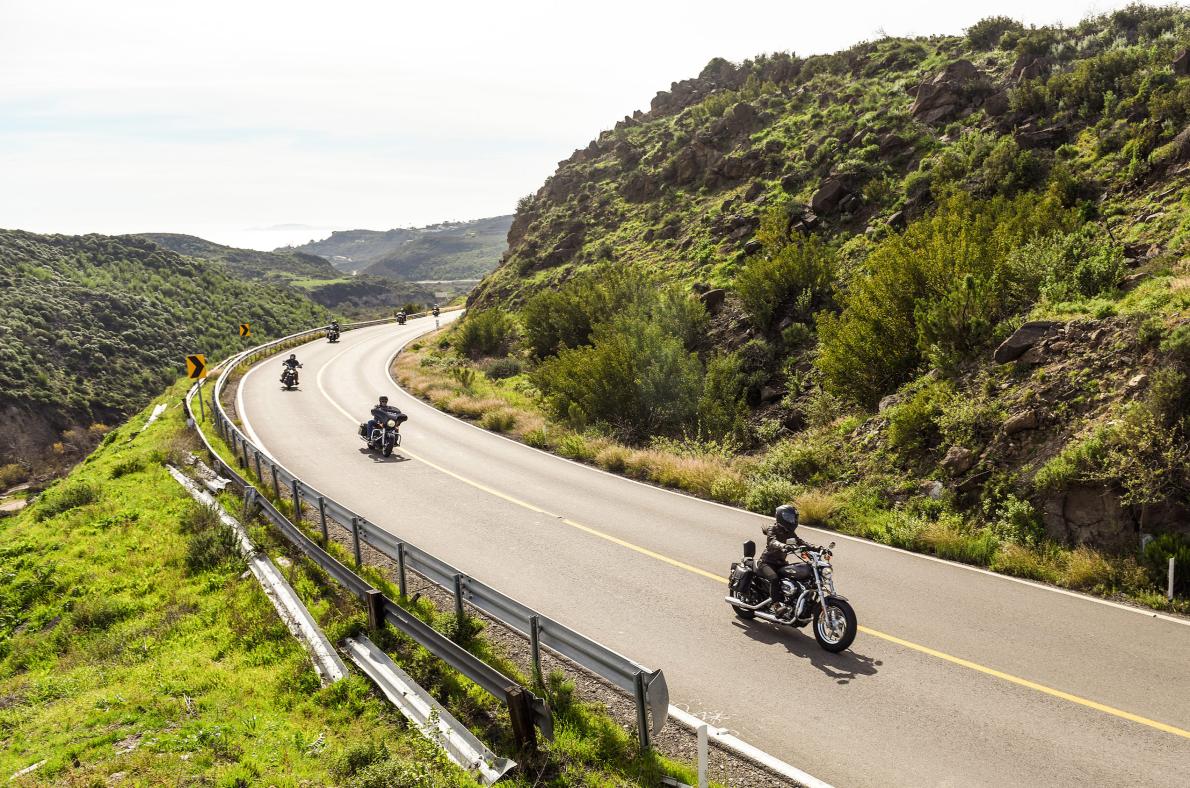 Whether you are whale watching on the coast or winding down the roads of Valle de Guadalupe's vineyards, every meal will be worth the drive. PHOTOGRAPH BY TODD WILLIAMS